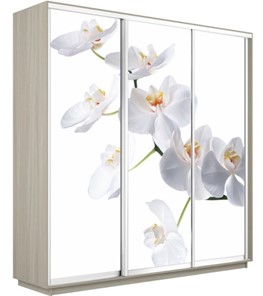 Шкаф 3-дверный Е1 Экспресс 1800х600х2200, Орхидея белая/шимо светлый в Петропавловске-Камчатском