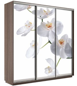 Шкаф 3-створчатый Е1 Экспресс 2100х600х2200, Орхидея белая/шимо темный в Петропавловске-Камчатском