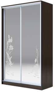 Шкаф 2-х дверный 2400х1682х620 два зеркала, "Цапли" ХИТ 24-17-66-01 Венге Аруба в Петропавловске-Камчатском