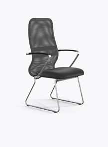 Кресло офисное Ergolife Sit 8 B2-9K - X1+Extra (Св.серый-Черный) в Петропавловске-Камчатском