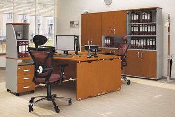 Комплект офисной мебели Милан для 2 сотрудников с тумбочками и большим шкафом в Петропавловске-Камчатском