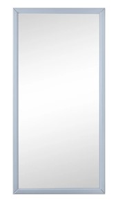 Зеркало навесное в гардероб Ника (Серый) 119,5 см x 60 см в Петропавловске-Камчатском