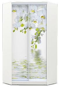 Шкаф 2300х1103, ХИТ У-23-4-77-05, Белая орхидея, белая в Петропавловске-Камчатском