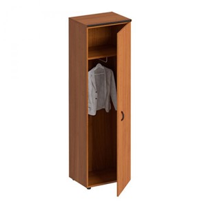 Шкаф для одежды Дин-Р, французский орех (60х46,5х196,5) ДР 772 в Петропавловске-Камчатском