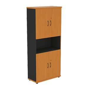 Шкаф для бумаг Моно-Люкс R5S22 в Петропавловске-Камчатском