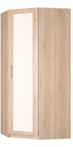 Распашной шкаф угловой Реал (YR-230х1034 (3)-М Вар.1), с зеркалом в Петропавловске-Камчатском - предосмотр
