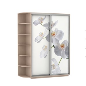 Шкаф 2-створчатый Экспресс 1900x600x2200, со стеллажом, Орхидея белая/дуб молочный в Петропавловске-Камчатском