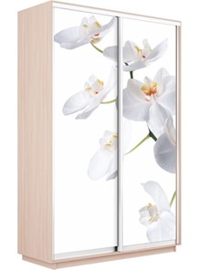 Шкаф Экспресс 1400x600x2200, Орхидея белая/дуб молочный в Петропавловске-Камчатском