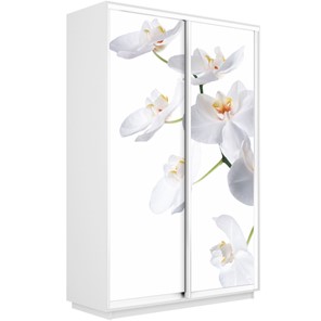 Шкаф Экспресс 1600x450x2400, Орхидея белая/белый снег в Петропавловске-Камчатском - предосмотр