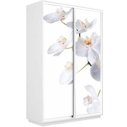 Шкаф Экспресс 1600x450x2400, Орхидея белая/белый снег в Петропавловске-Камчатском - изображение