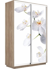 Шкаф Экспресс 1600x450x2400, Орхидея белая/дуб сонома в Петропавловске-Камчатском - предосмотр