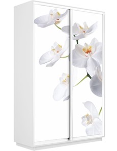 Шкаф-купе двухдверный Экспресс 1600x600x2200, Орхидея белая/белый снег в Петропавловске-Камчатском