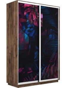 Шкаф 2-дверный Экспресс 1600x600x2400, Джунгли темные/дуб табачный в Петропавловске-Камчатском