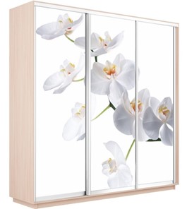 Шкаф 3-дверный Экспресс 1800х600х2200, Орхидея белая/дуб молочный в Петропавловске-Камчатском