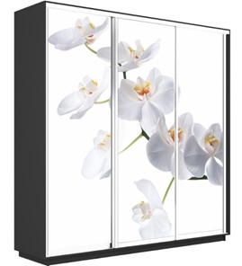 Шкаф 3-створчатый Экспресс 2100х450х2200, Орхидея белая/серый диамант в Петропавловске-Камчатском