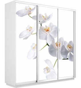 Шкаф 3-х створчатый Экспресс 2100х450х2400, Орхидея белая/белый снег в Петропавловске-Камчатском