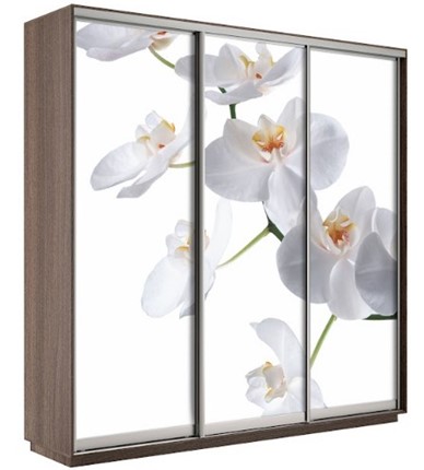 Шкаф 3-створчатый Экспресс 2100х600х2200, Орхидея белая/шимо темный в Петропавловске-Камчатском - изображение