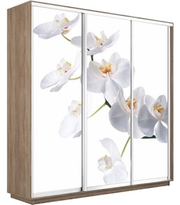 Шкаф 3-дверный Экспресс 2100х600х2400, Орхидея белая/дуб сонома в Петропавловске-Камчатском