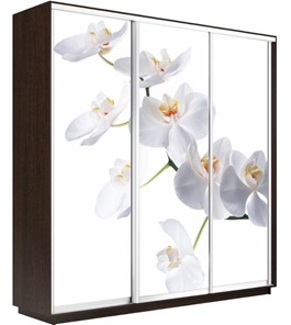 Шкаф 3-дверный Экспресс 2400х450х2400, Орхидея белая/венге в Петропавловске-Камчатском