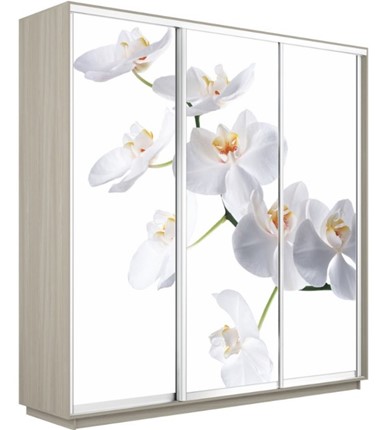 Шкаф 3-створчатый Экспресс 2400х600х2400, Орхидея белая/шимо светлый в Петропавловске-Камчатском - изображение