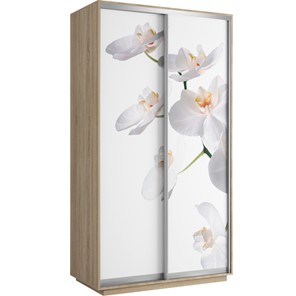 Шкаф двухдверный Хит 1200x600x2200, белая орхидея, ясень шимо светлый в Петропавловске-Камчатском
