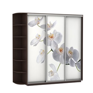 Шкаф Экспресс со стеллажом, 2700х600х2400, Орхидея белая/венге в Петропавловске-Камчатском
