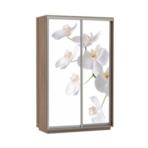 Шкаф 2-дверный Экспресс 1200x600x2400, Орхидея белая/шимо темный в Петропавловске-Камчатском