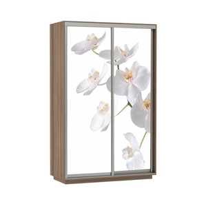 Шкаф 2-х дверный Экспресс 1600x600x2200, Орхидея белая/шимо темный в Петропавловске-Камчатском