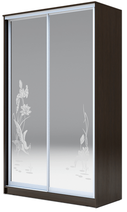 Шкаф двухдверный 2300х1200х620 два зеркала, "Цапли" ХИТ 23-12-66-01 Венге Аруба в Петропавловске-Камчатском - изображение