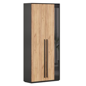 Шкаф для прихожей 2-дверный Неаполь ЛД.134050.000 (Черный/Дуб Золотой) в Петропавловске-Камчатском
