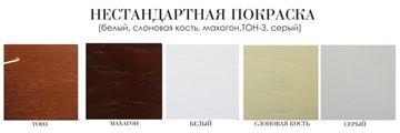Стол Соло плюс 160х90, (покраска 2 тип) в Петропавловске-Камчатском - предосмотр 4