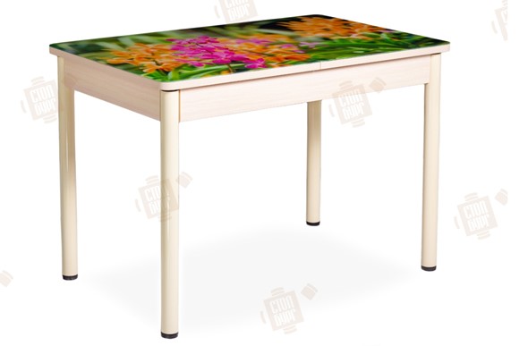 Кухонный раскладной стол Айсберг-02 СТФ, Дуб ЛДСП/полевые цветы/ноги крашеные в Петропавловске-Камчатском - изображение