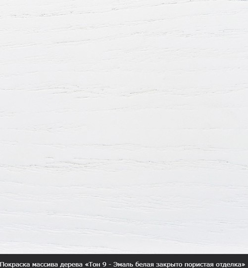 Обеденный раздвижной стол Фабрицио-1 исп. Эллипс, Тон 12 (Морилка/Эмаль) в Петропавловске-Камчатском - изображение 16