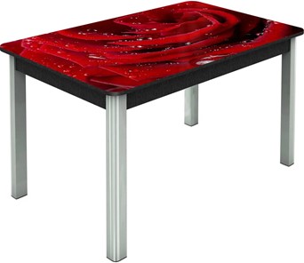 Обеденный раздвижной стол Гамбург исп.2 ноги метал. крашеные №23, Фотопечать (Цветы №39) в Петропавловске-Камчатском