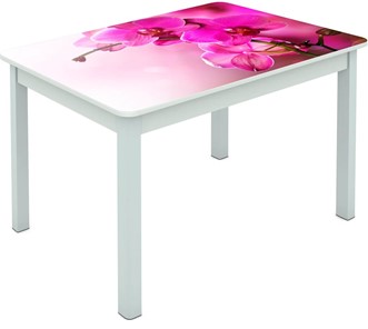 Обеденный стол Мюнхен исп. 1 ноги метал. крашеные №23 Фотопечать (Цветы №16) в Петропавловске-Камчатском