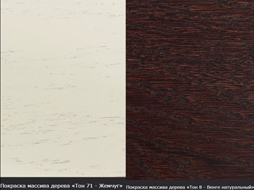 Кухонный стол раздвижной Леонардо-1 исп. Круг 820, тон 4 (Морилка/Эмаль) в Петропавловске-Камчатском - предосмотр 16