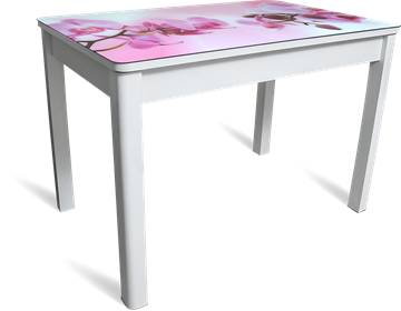 Кухонный стол раздвижной Айсберг-01 СТФ, белое лдсп/орхидея/40 прямые массив белые в Петропавловске-Камчатском - предосмотр