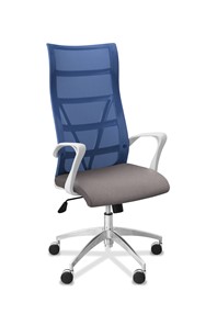 Офисное кресло для руководителя Топ X белый каркас, сетка/ткань TW / синяя/серая в Петропавловске-Камчатском - предосмотр