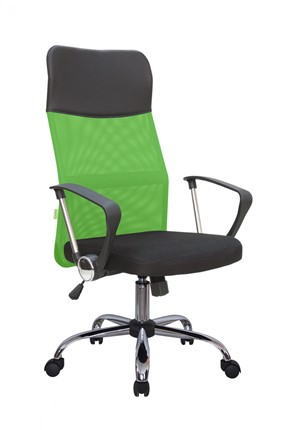 Кресло компьютерное Riva Chair 8074 (Зеленый) в Петропавловске-Камчатском - изображение
