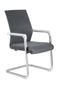 Компьютерное кресло Riva Chair D819 (Серая сетка) в Петропавловске-Камчатском - предосмотр
