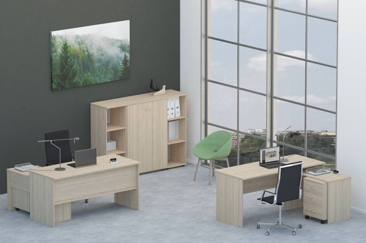 Офисный комплект мебели Twin для 2 сотрудников со шкафом для документов в Петропавловске-Камчатском - изображение