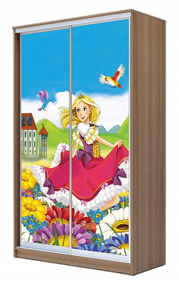 Шкаф 2-х дверный ХИТ 22-12-77-11, Принцесса, шимо темный в Петропавловске-Камчатском - изображение