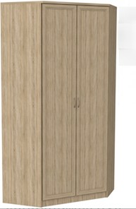 Шкаф 403 несимметричный, цвет Дуб Сонома в Петропавловске-Камчатском - предосмотр