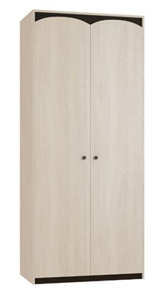Распашной шкаф Ева 2-х дверный в Петропавловске-Камчатском - изображение