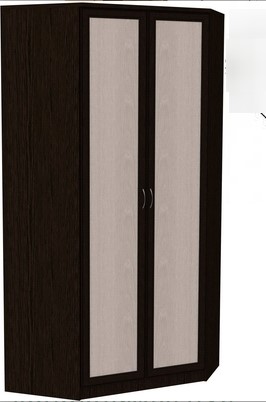 Шкаф распашной 403 несимметричный, цвет Венге в Петропавловске-Камчатском - изображение