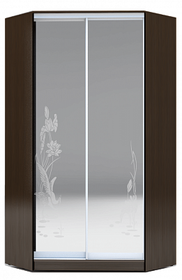 Угловой шкаф 2300х1103, ХИТ У-23-4-66-01, цапля, 2 зеркала, венге аруба в Петропавловске-Камчатском - изображение