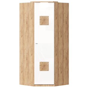 Шкаф угловой 45 с декоративной накладкой Фиджи, 659.248, белый в Петропавловске-Камчатском - предосмотр