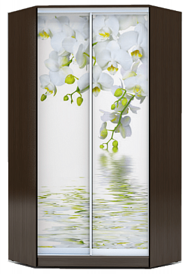 Угловой шкаф 2300х1103, ХИТ У-23-4-77-05, Белая орхидея, венге в Петропавловске-Камчатском - изображение