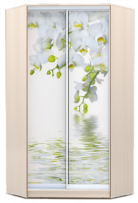 Угловой шкаф 2300х1103, ХИТ У-23-4-77-05, Белая орхидея, дуб млечный в Петропавловске-Камчатском - изображение