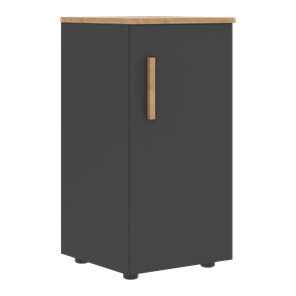 Шкаф колонна низкий с глухой правой дверью FORTA Графит-Дуб Гамильтон  FLC 40.1 (R) (399х404х801) в Петропавловске-Камчатском